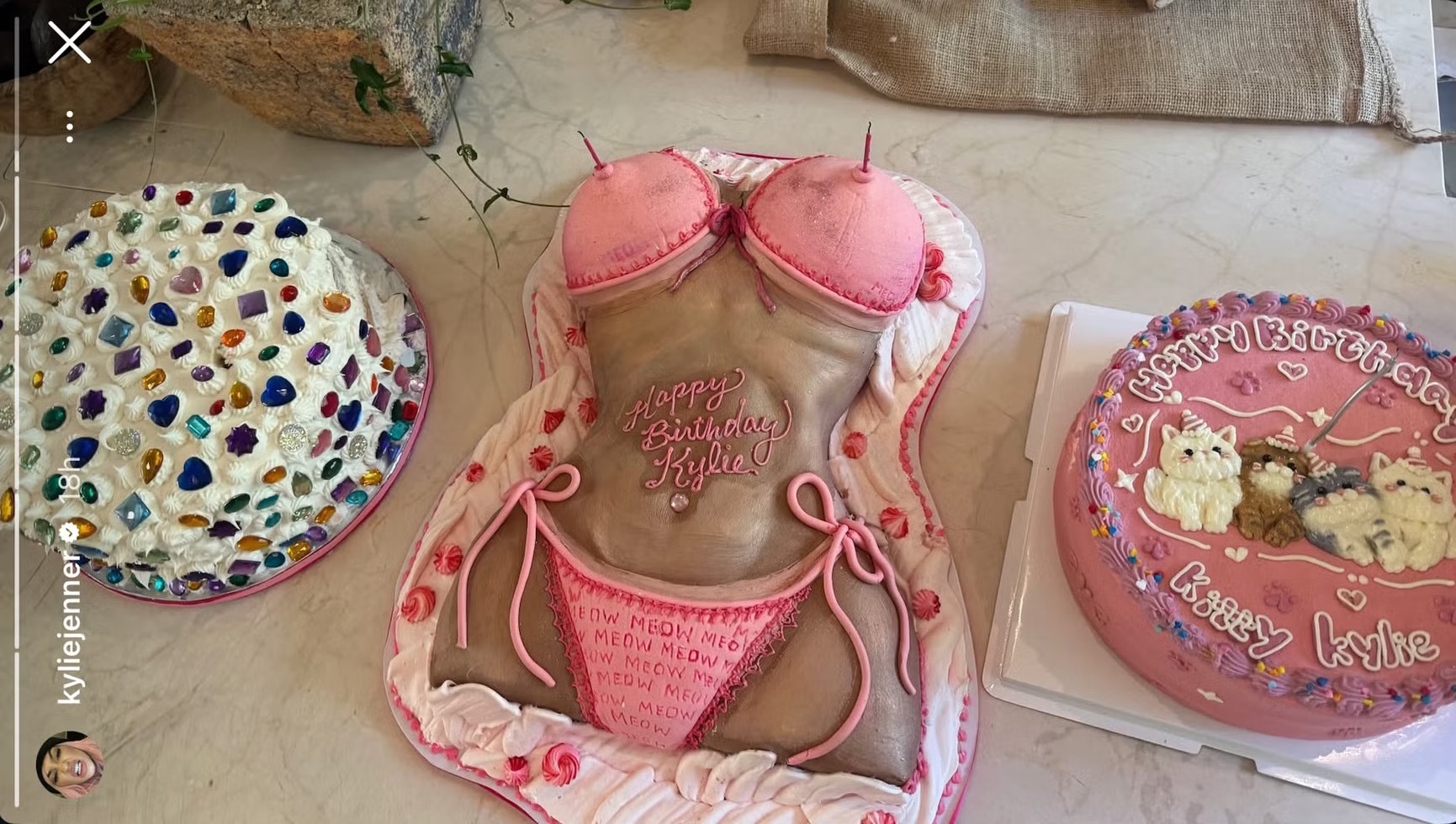 KYLIE-JENNER-BDAY-CAKE-3.avif
