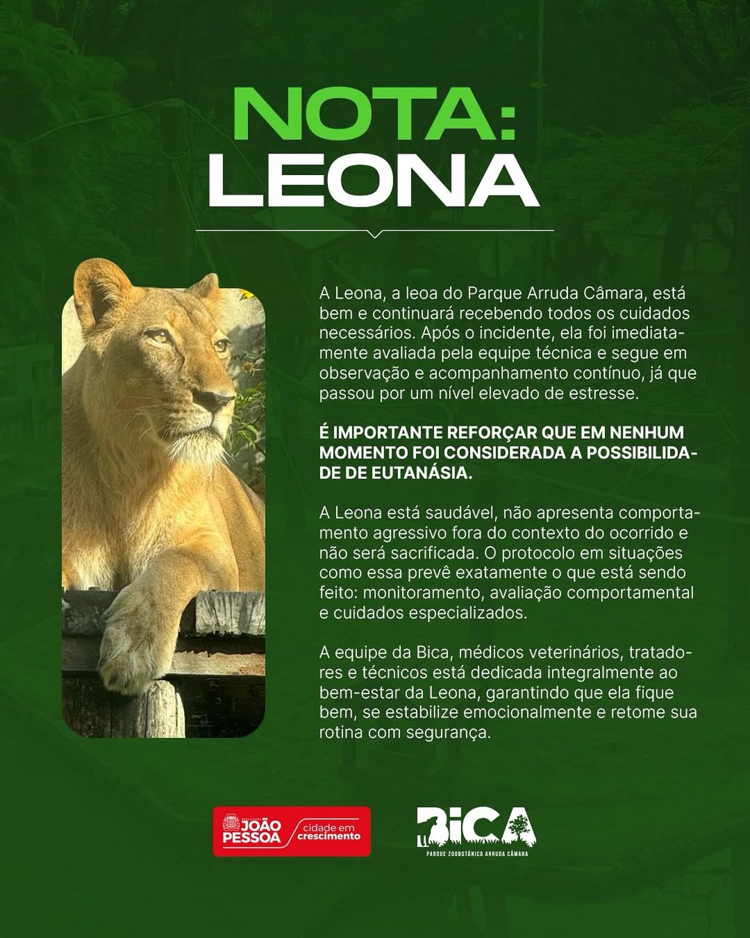 CDATA[
Un adolescente fue atacado mortalmente por una leona en un zoológico de Brasil ante los ojos de los visitantes, después de escalar un muro de seis metros, superar las vallas de seguridad y descender de un árbol para ingresar al recinto, informaron las autoridades. La tragedia ocurrió el domingo 30 de noviembre en la ciudad costera de Joao Pessoa, en el este de Brasil.
![