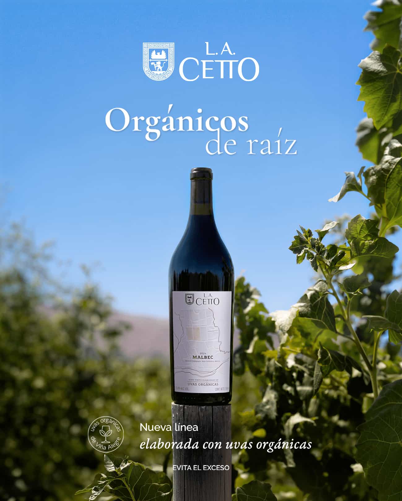 Malbec Certificado CCOF