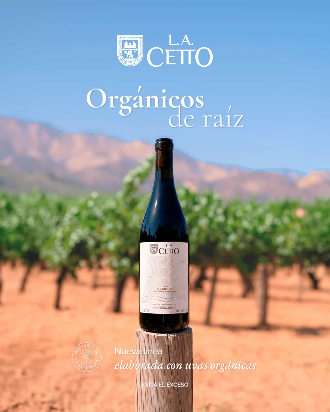 Viña Alegre - Nebbiolo