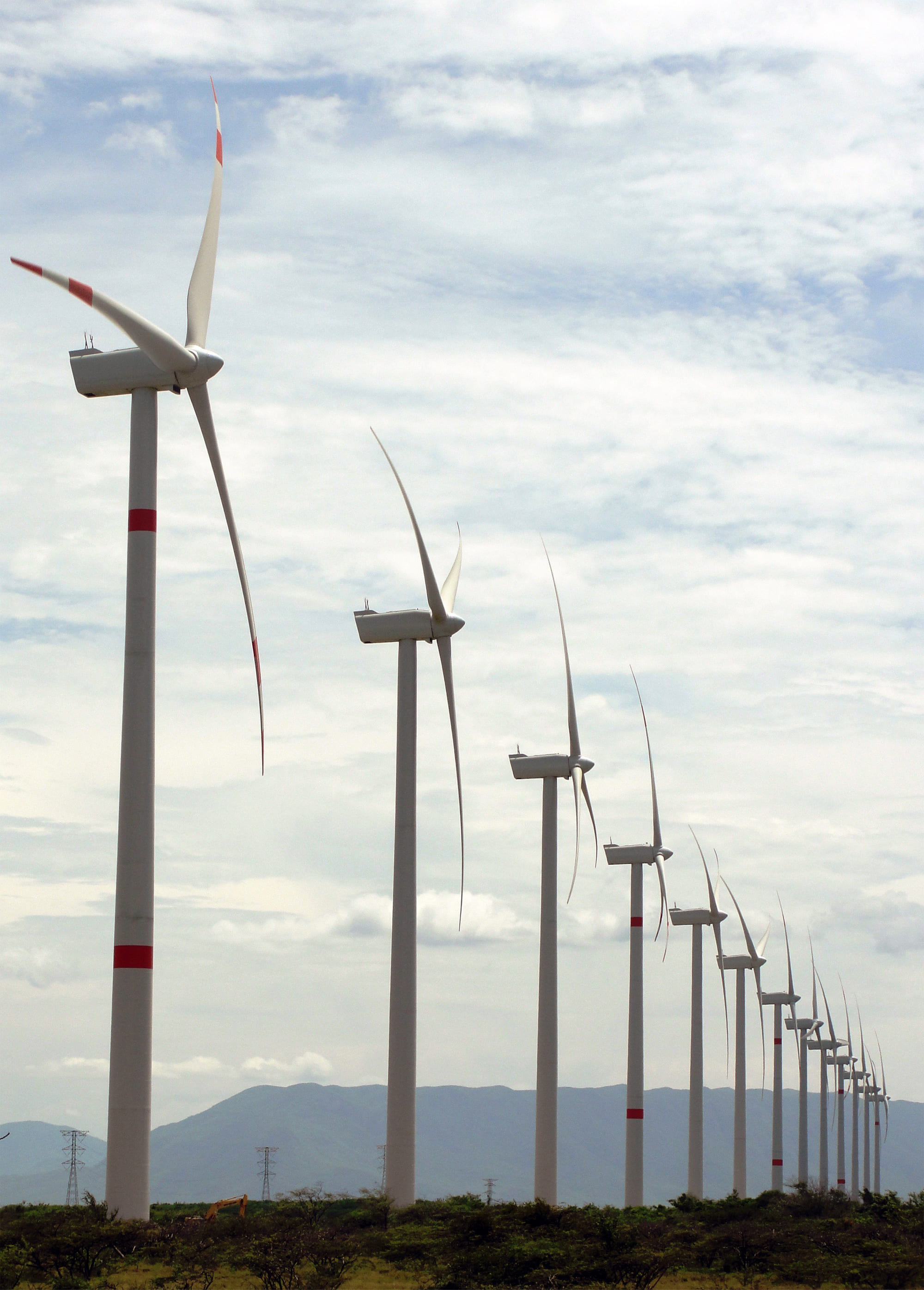 Fila de aerogeneradores de Enel México